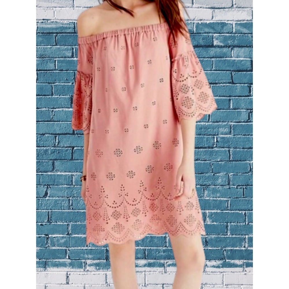 Madewell Off Shoulder Eyelet Dress 10 Dusty Rose Embroidered Bell Sleeve Lined